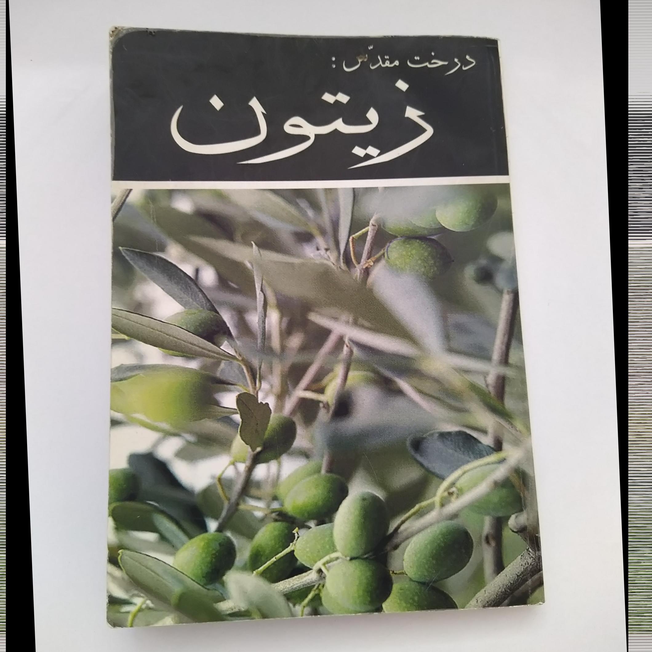 کتاب درخت مقدس زیتون