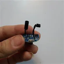 برد