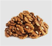 مغز