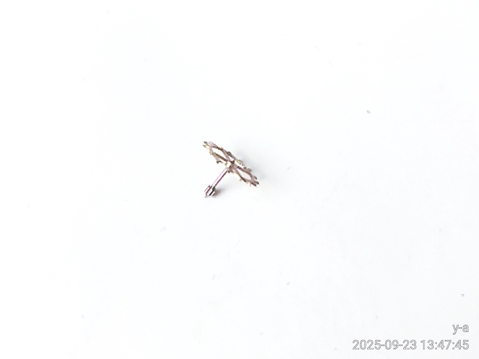 قطعات ساعت سیکو