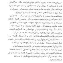 مینی