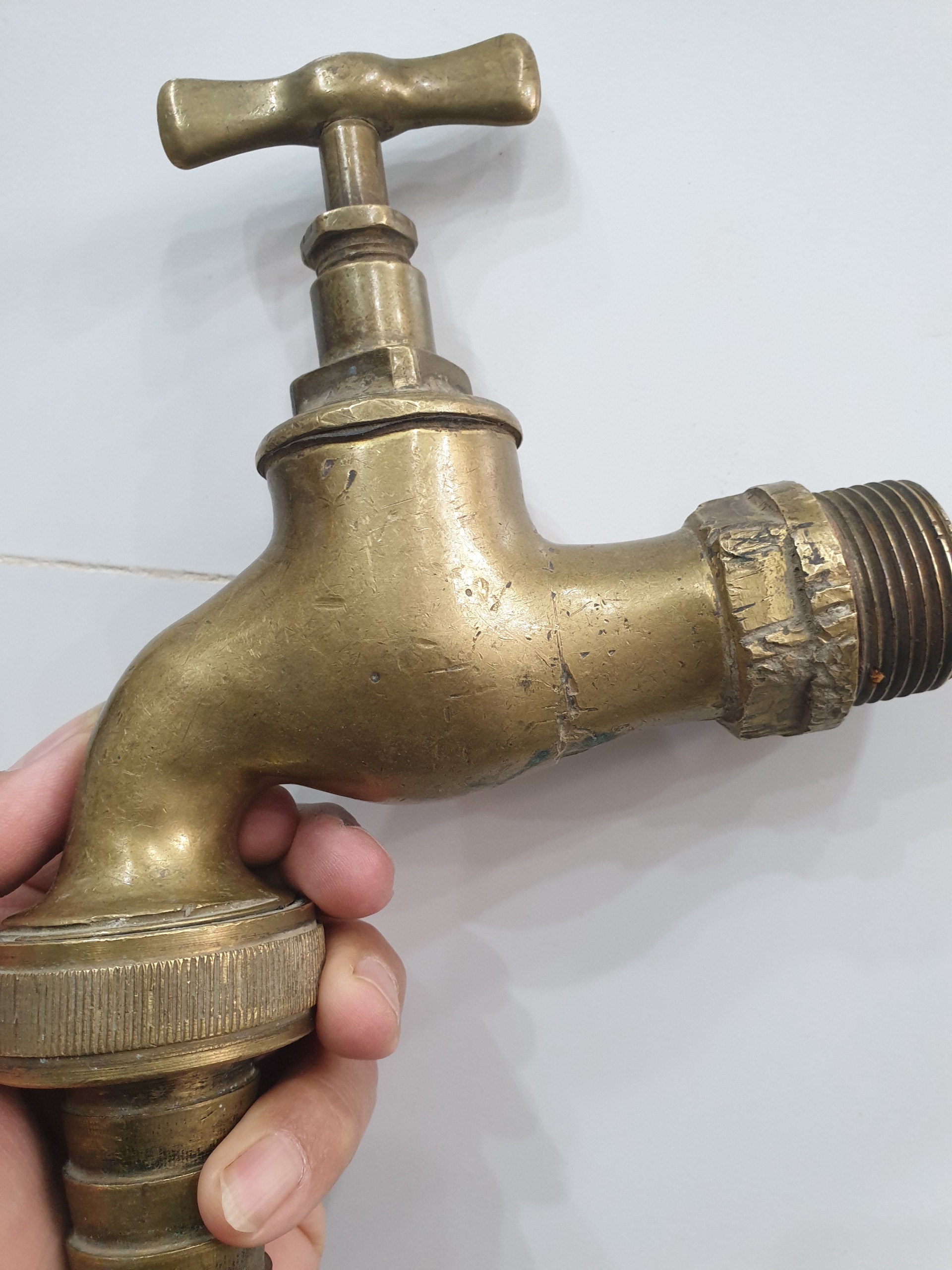 شیر خیلی خیلی بزرگ قدیمی