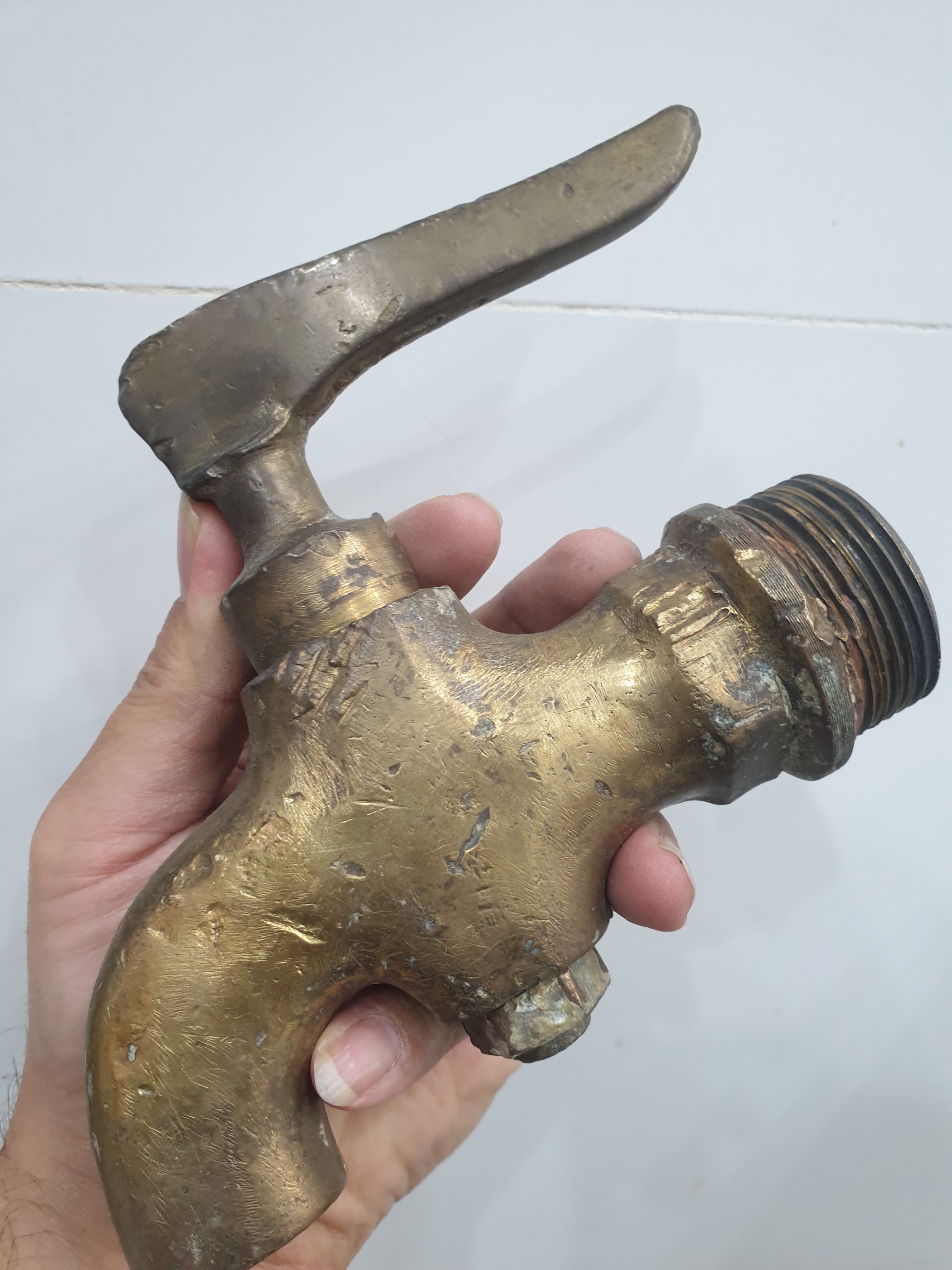 شیر خیلی بزرگ قدیمی