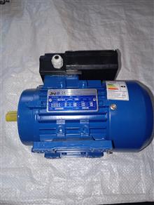 الکتروموتور