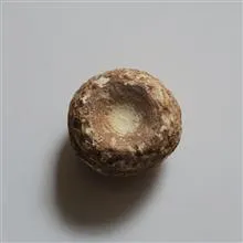 کلکسیونی