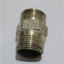 مغزی