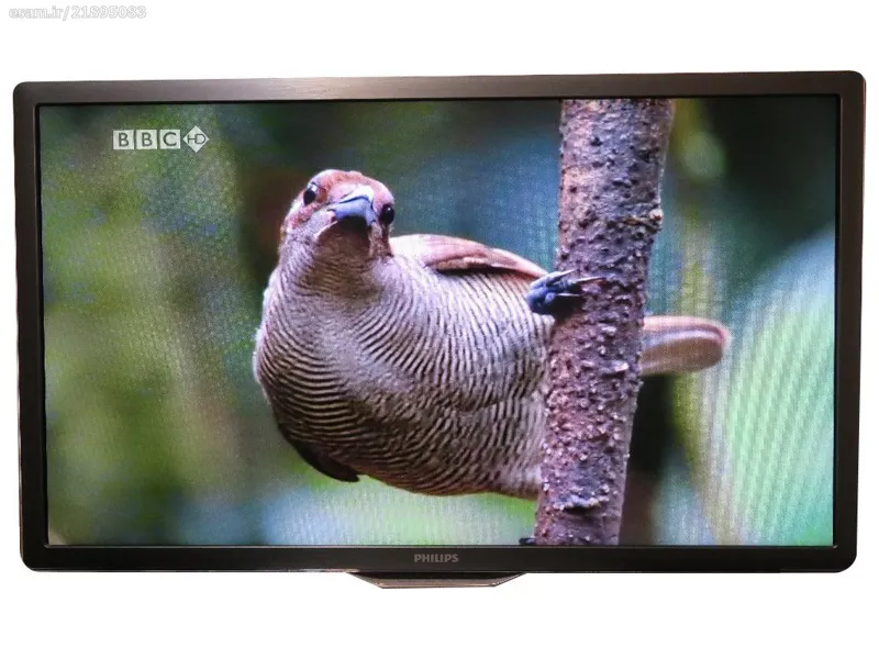 تلوزیون LED Ful HD فیلیپس