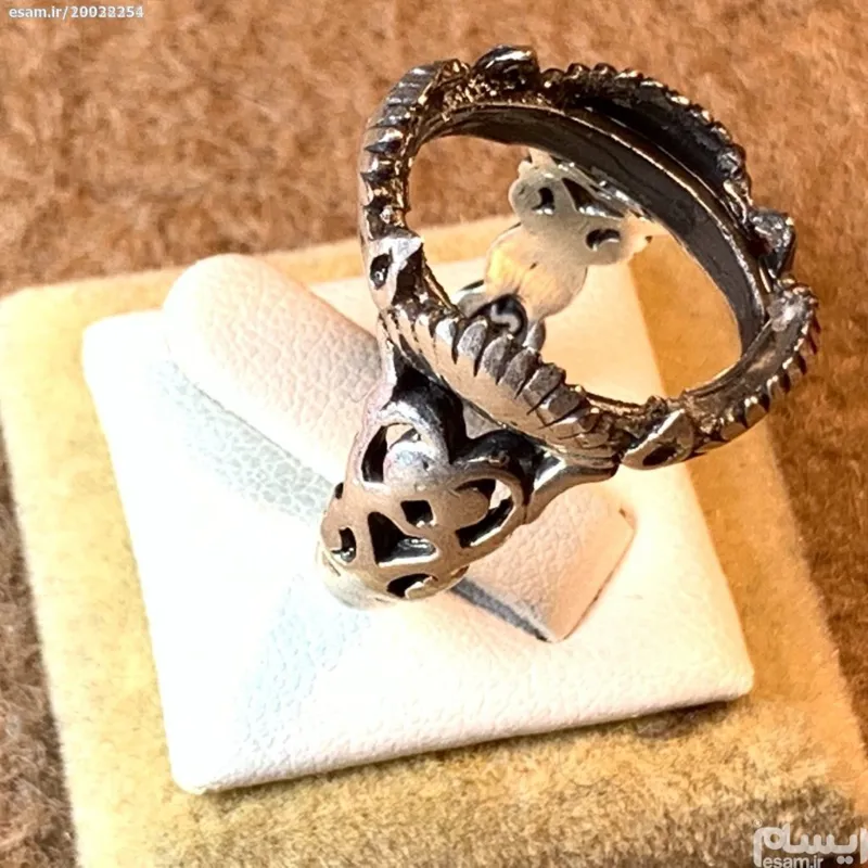 رکاب بسیار زیبای ترک