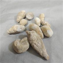 تعداد