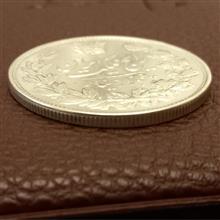 پنجهزاردینار