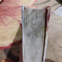 تاریخ