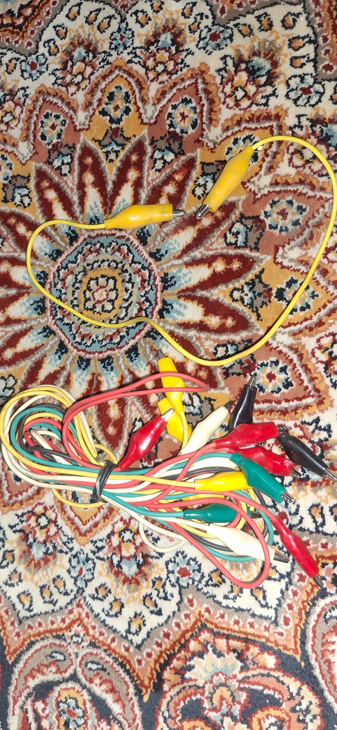 سیم دو سرسوسماری کوچک