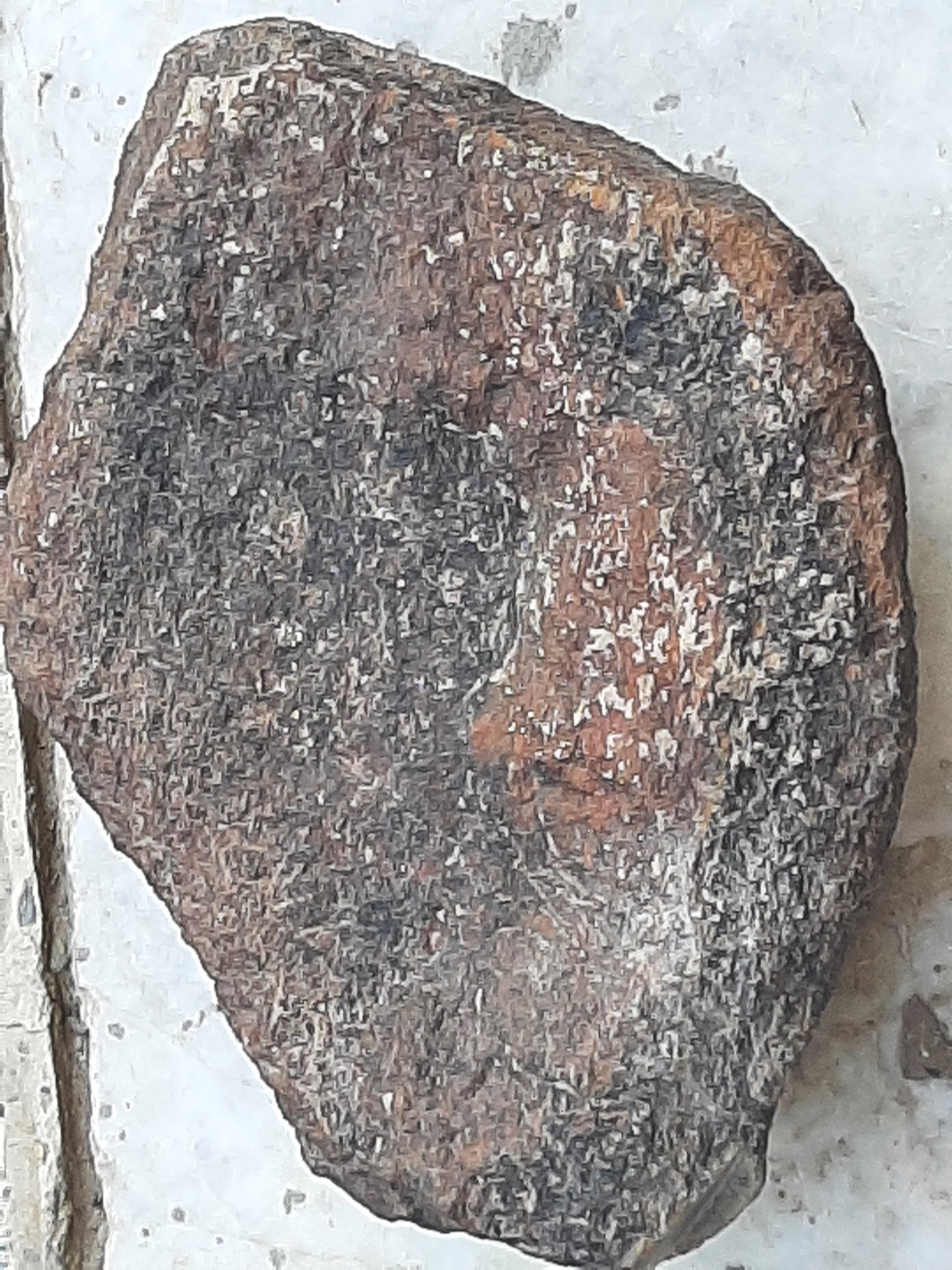 شهاب سنگ مریخ