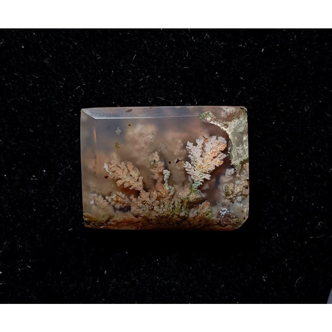 عقیق شجر هفت رنگ آکواریومی