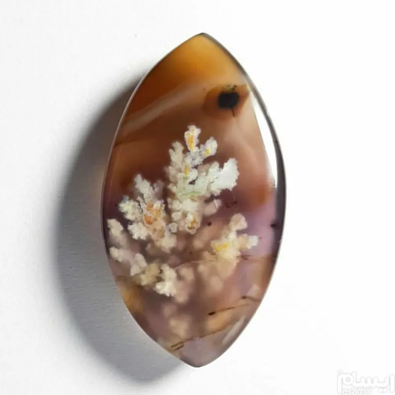 آویز رویایی شجر دریایی