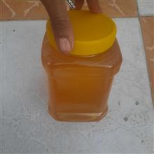 عسل