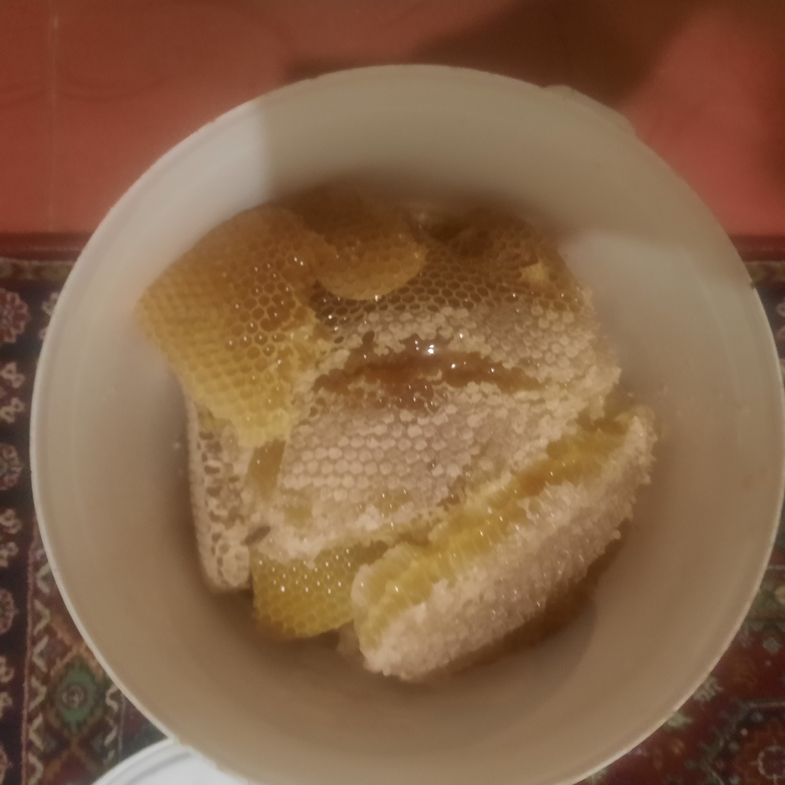 عسل گز با موم خود بافت در حد عسل وحشی