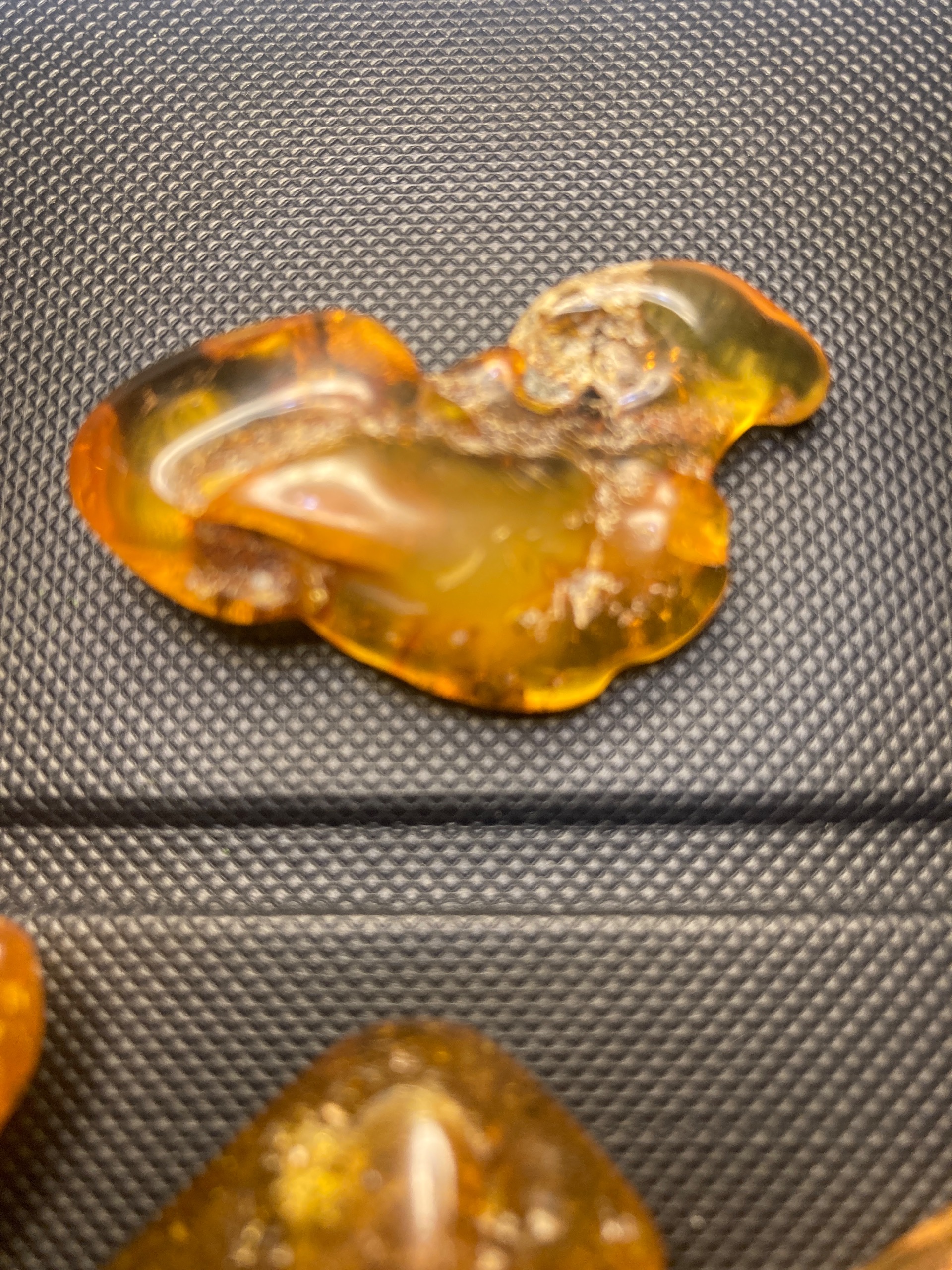 رالف طبیعی کهربا دریای بالتیک