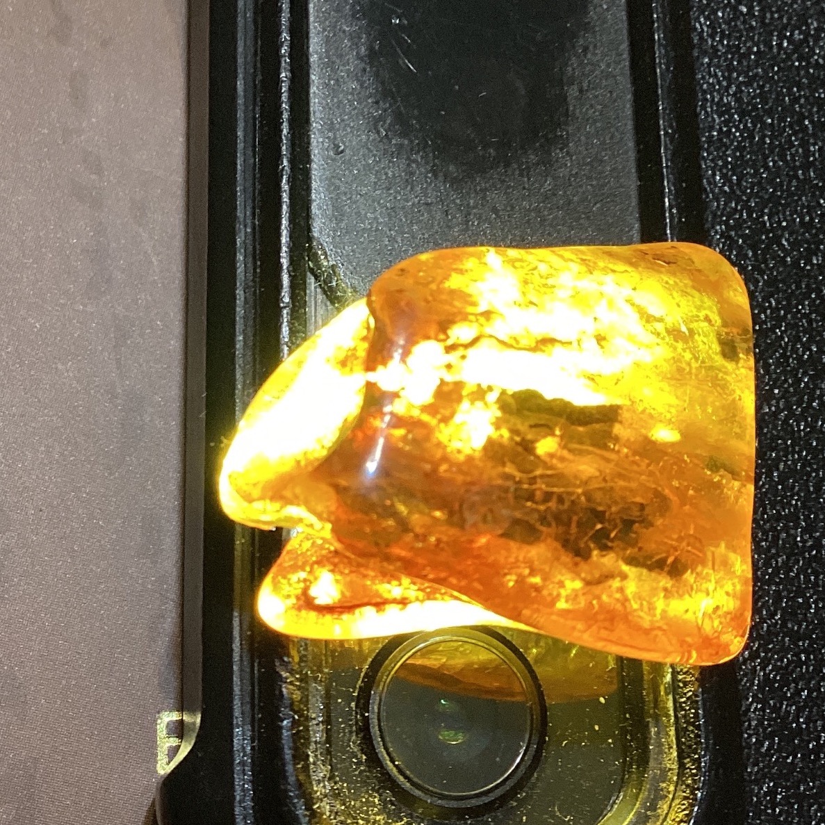 رالف کهربا طبیعی دریای بالتیک