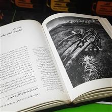 دوربین