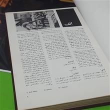 دایره