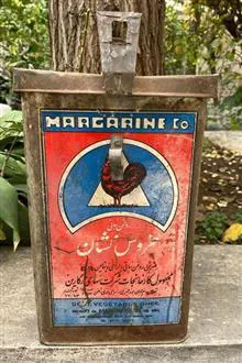 قوطی