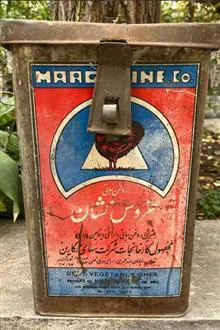 قوطی