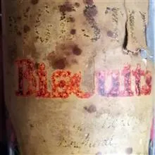 قوطی