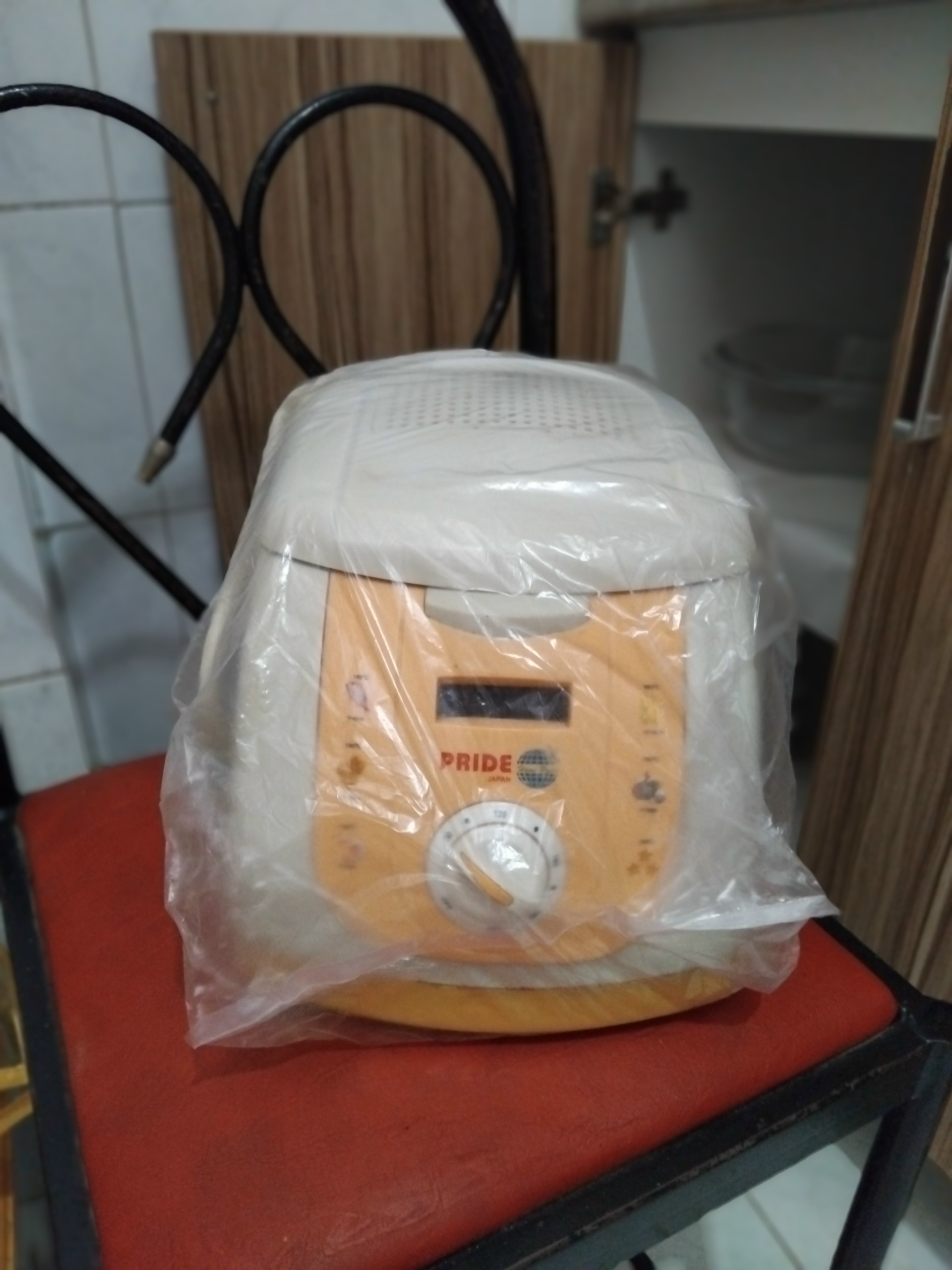 سرخ کن کوچک ژاپن