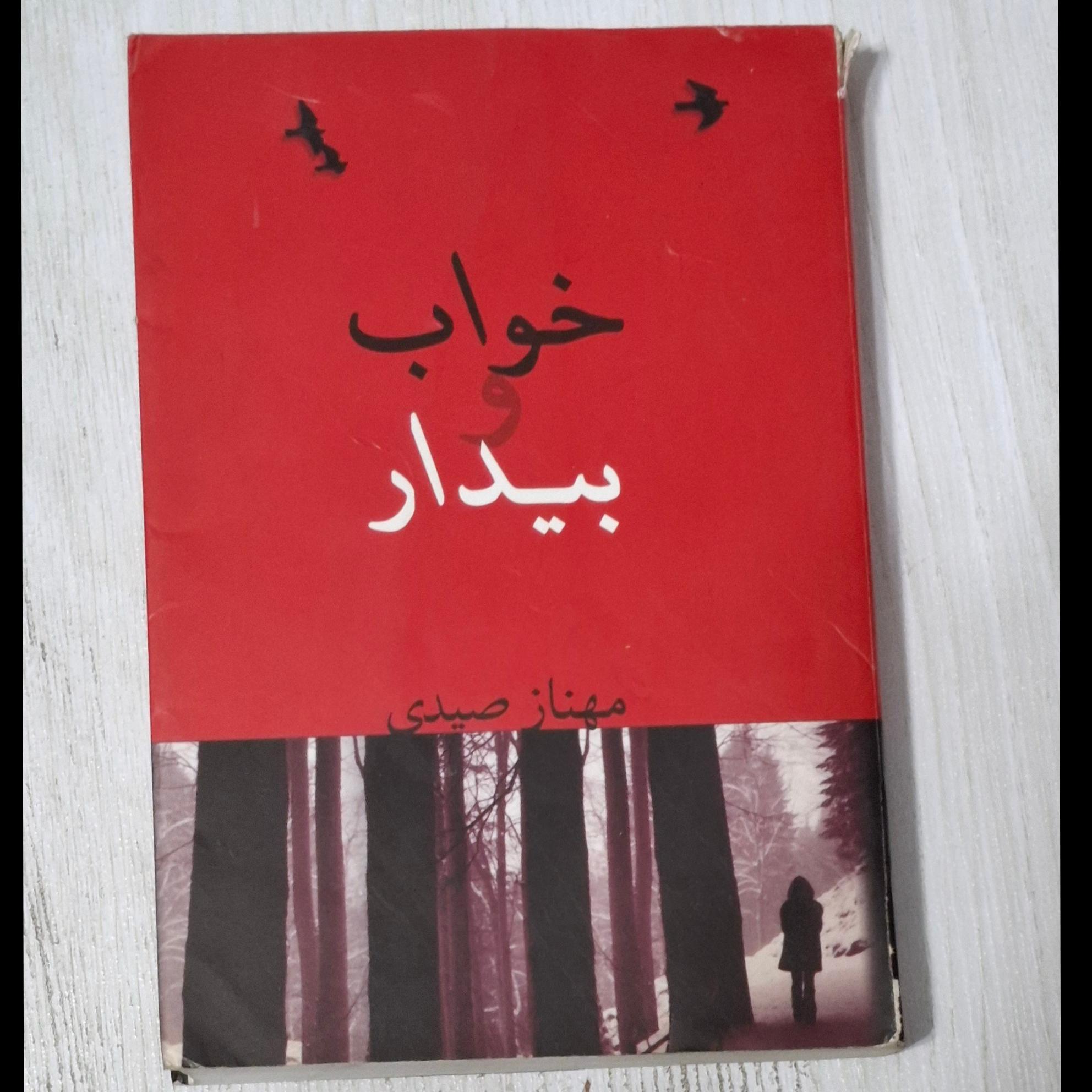 خواب و بیدار مهناز صیدی