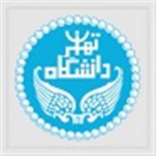 تاریخ