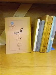 قلب