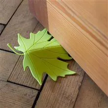پادری