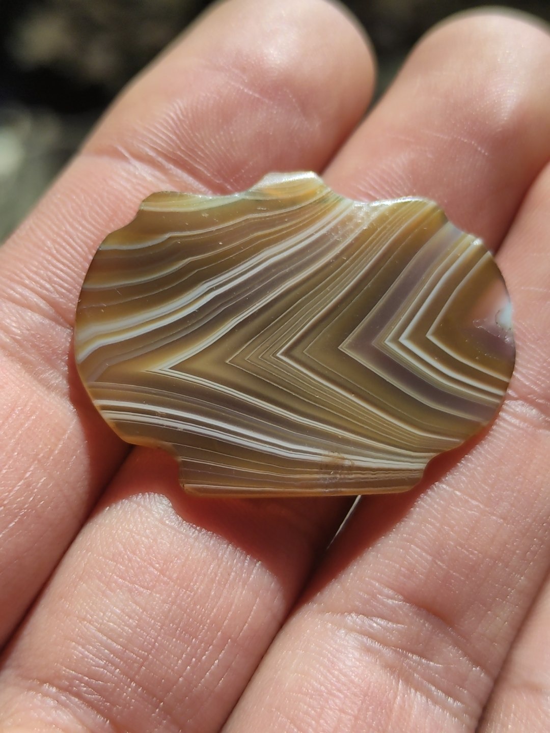 آویز کهنه سلیمانی