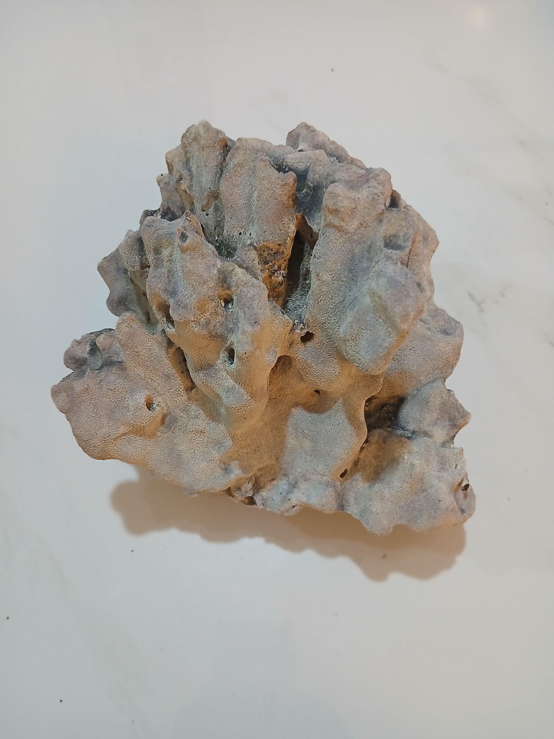 سنگ بزرگ مرجان طبیعی آکواریوم