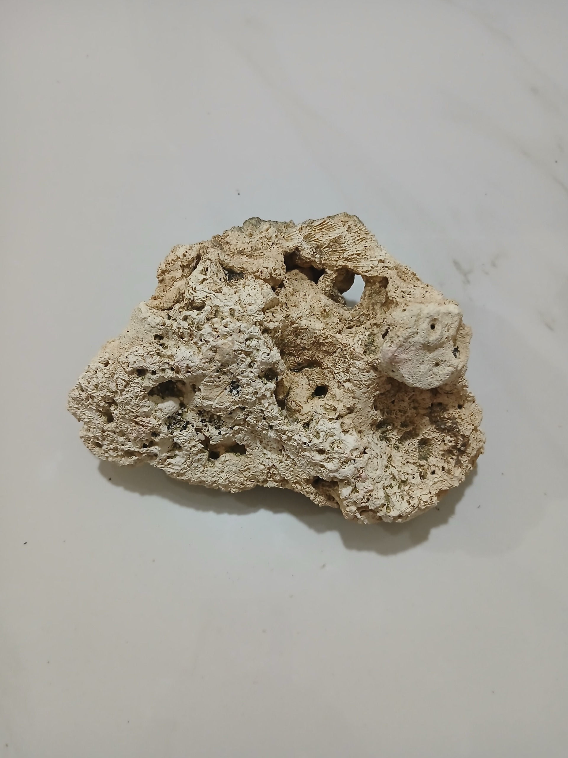 سنگ متوسط مرجان طبیعی آکواریوم