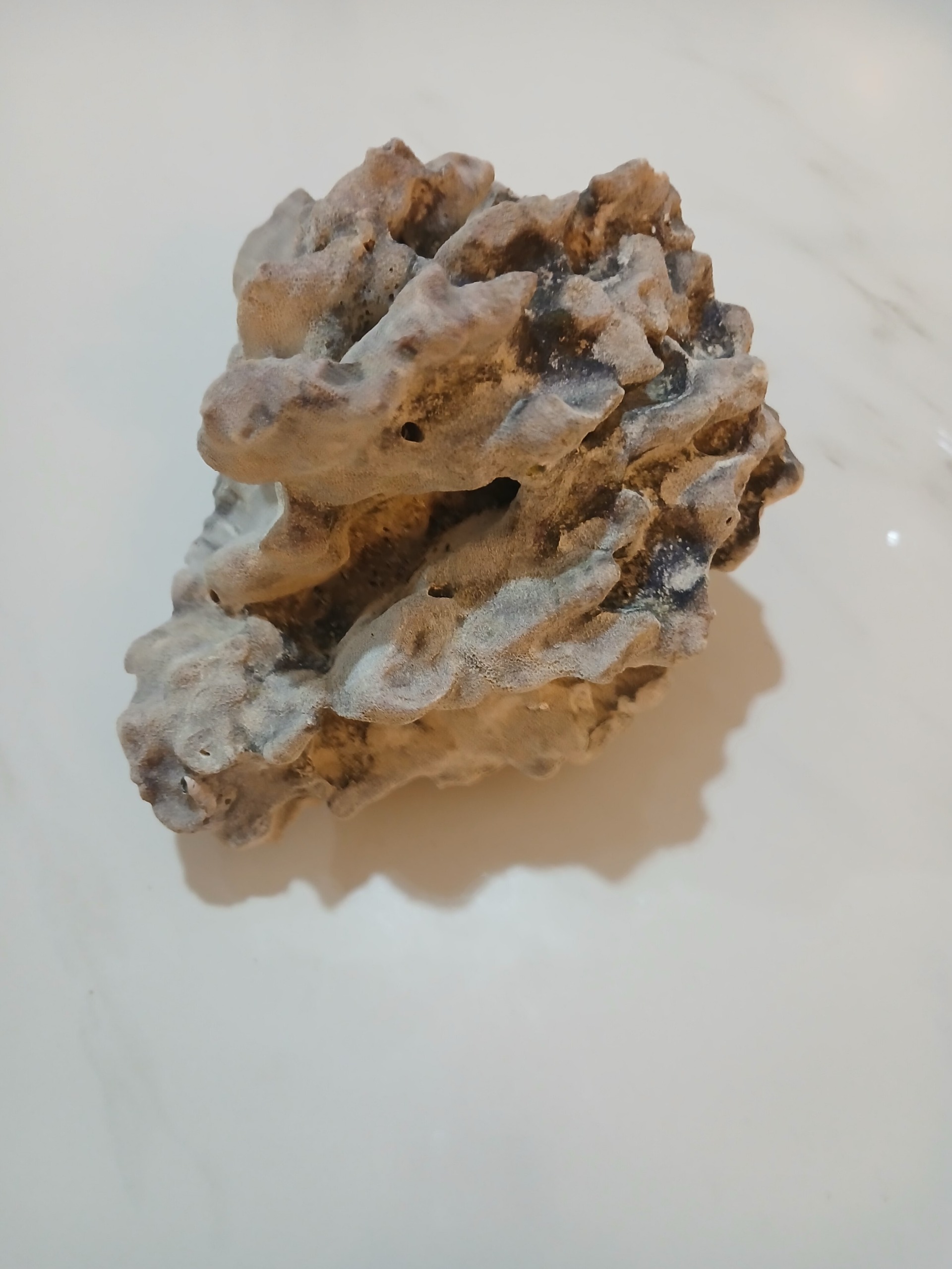 سنگ طبیعی بزرگ مرجان آکواریوم