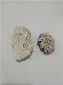سنگ