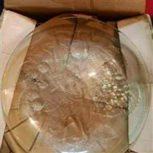 پیش