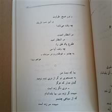گزیده