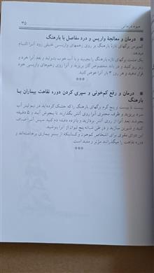 گیاه