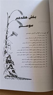 گیاه