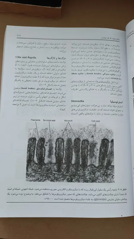 بافت شناسی پایه(لوئیز کارلوس جان کوئیرا)