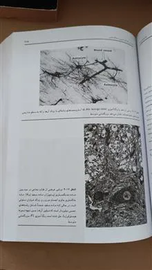 بافت