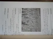 فرهنگ