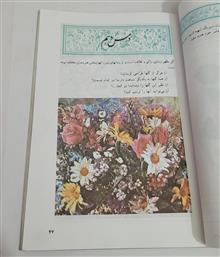هنر