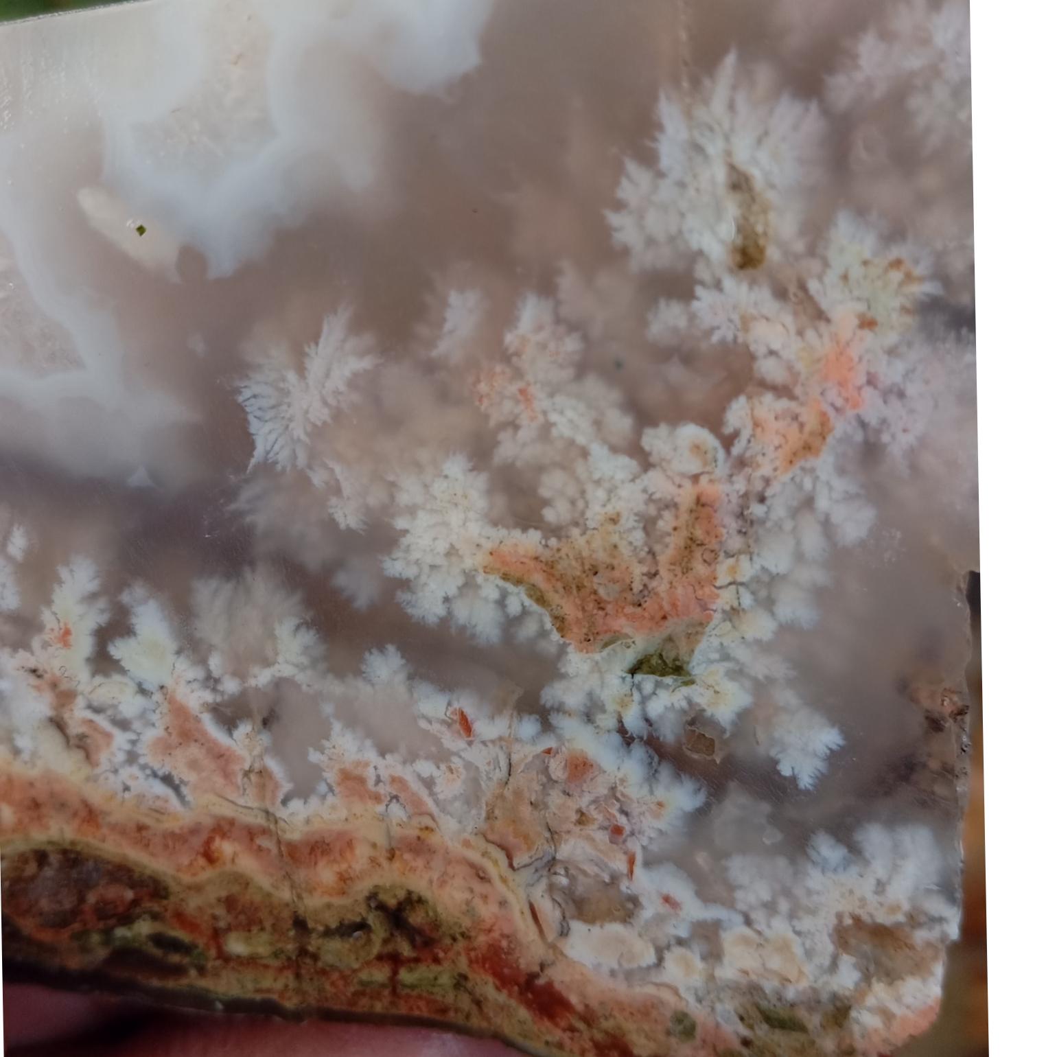 سنگ شجر بهاره با درختهایی کشیده و دیدنی