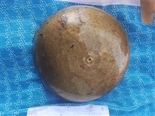 کاسه