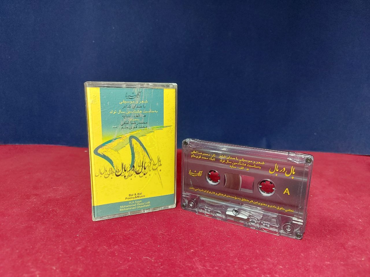 البوم بال در بال از استاد محمدرضا لطفی در حد آکبند