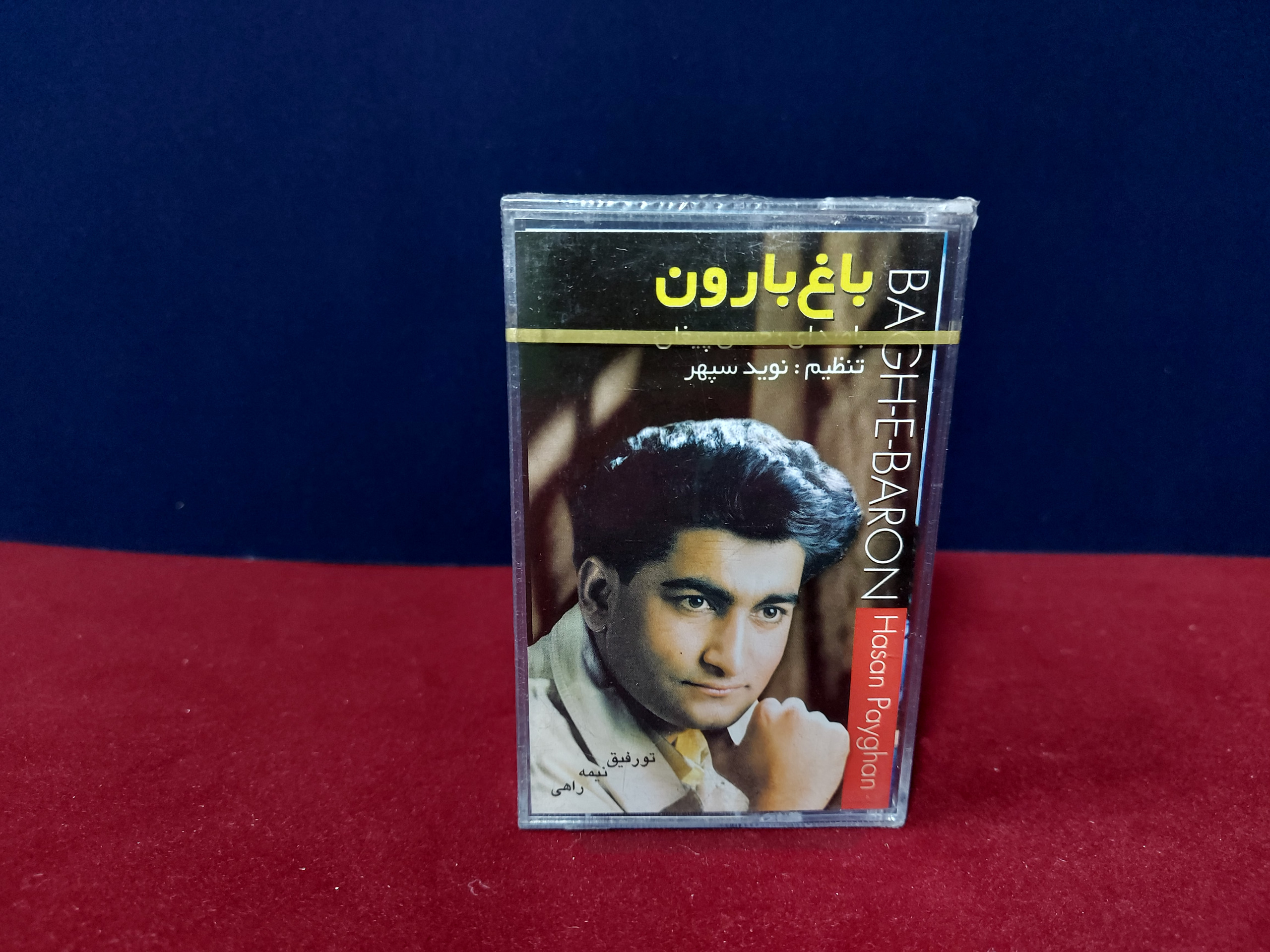 آلبوم باغ بارون از حسن پیغان (پلمب)